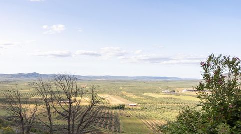 Foto 5 de Finca rústica en venta en Castellar, Jaén