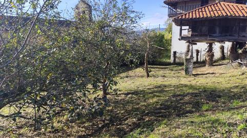 Foto 3 de Finca rústica en venda a N/a, -1, Pravia, Asturias