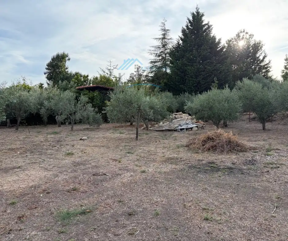 Terreno rústico en venta en Jarandilla de la Vera, imagen 15