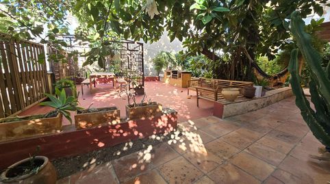 Foto 5 von Erdgeschoss zur Miete in El Terreno, Palma de Mallorca