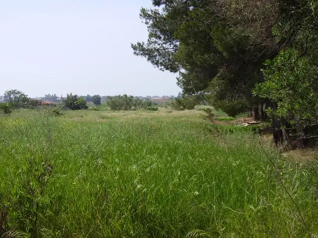 Residential land for sale in Calle Rafael Balaguer 75, imagen 10