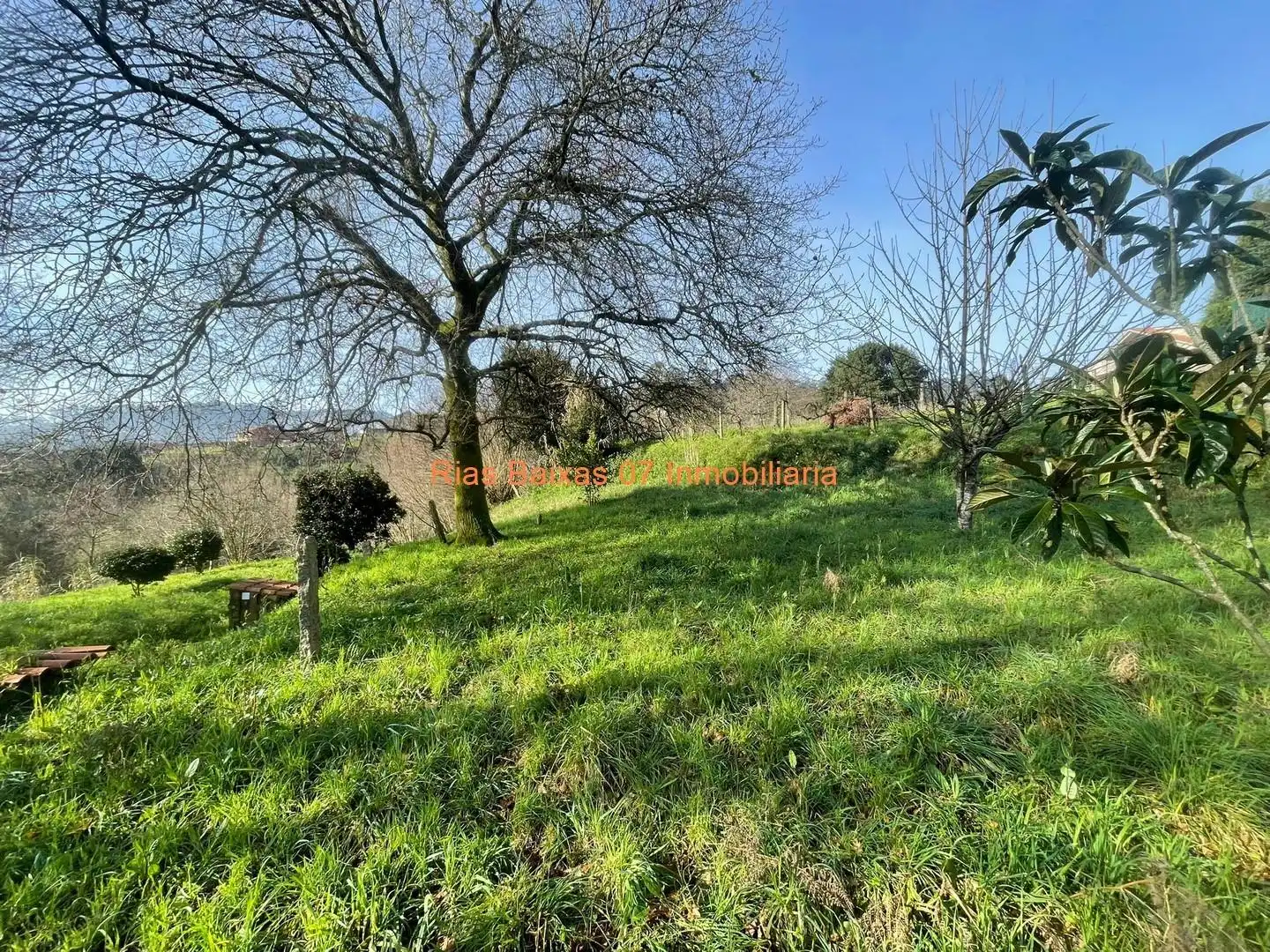 Casa amb jardí en venda a Mos, imagen 18