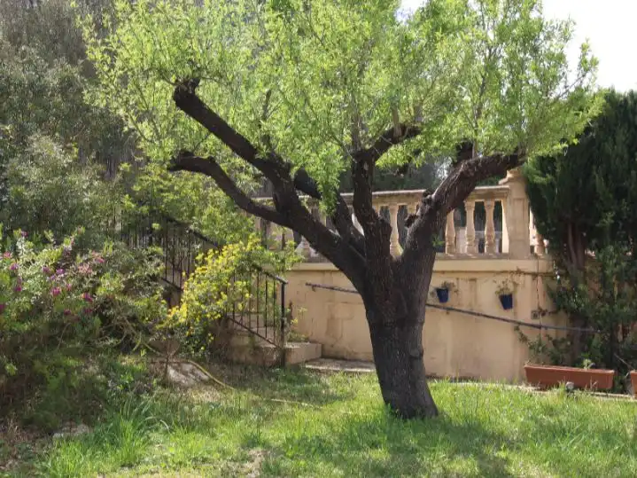 Landhaus mit Pool zum Verkauf in Diseminado Disseminats Poligon 4 468, imagen 22
