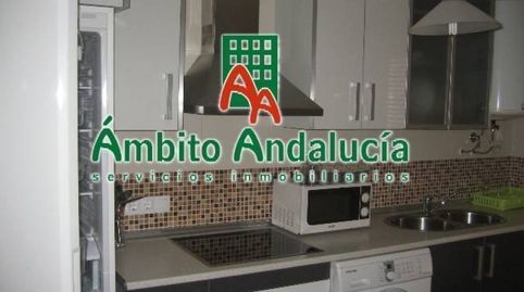Photo 4 of Flat for rent in Postigos, Santiago-Pontones, Jaén