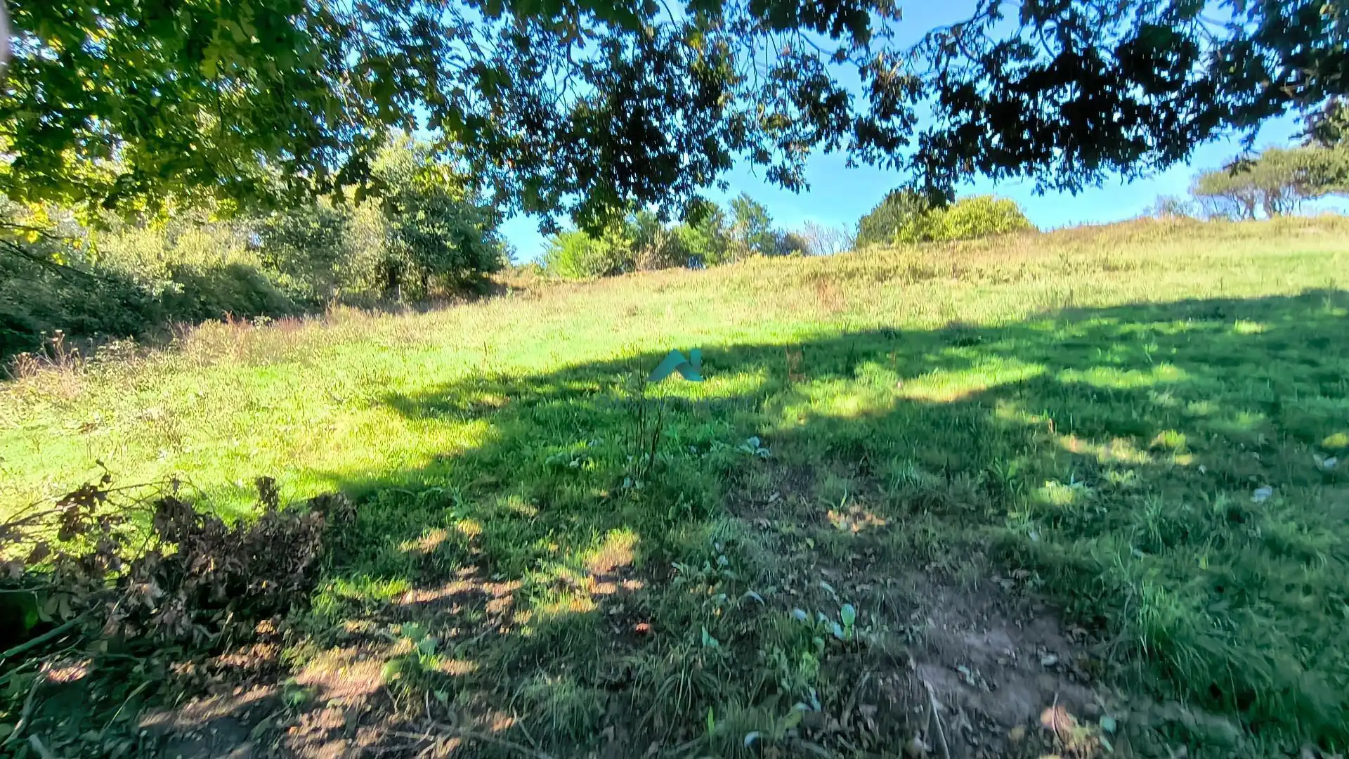Terreno rustico in vendita a Tarrueza, imagen 9