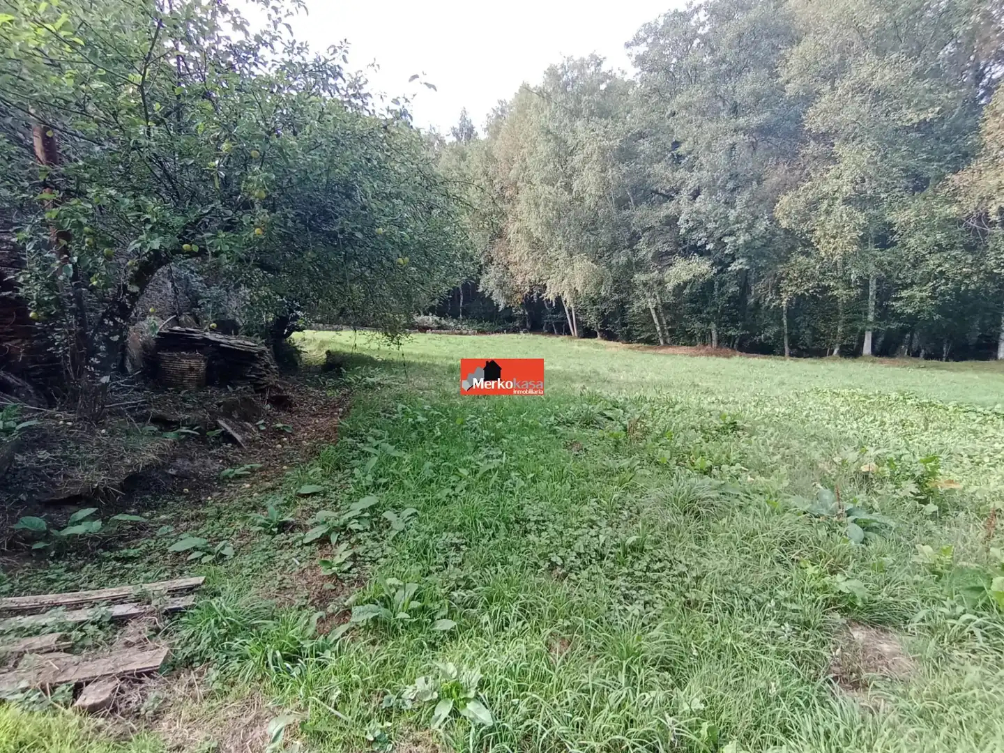 Finca rústica en venda en Begonte amb Jardí privat