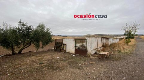 PARCELA CON NAVES Y EXPLOTACIÓN DE PORCINO, imatge 2