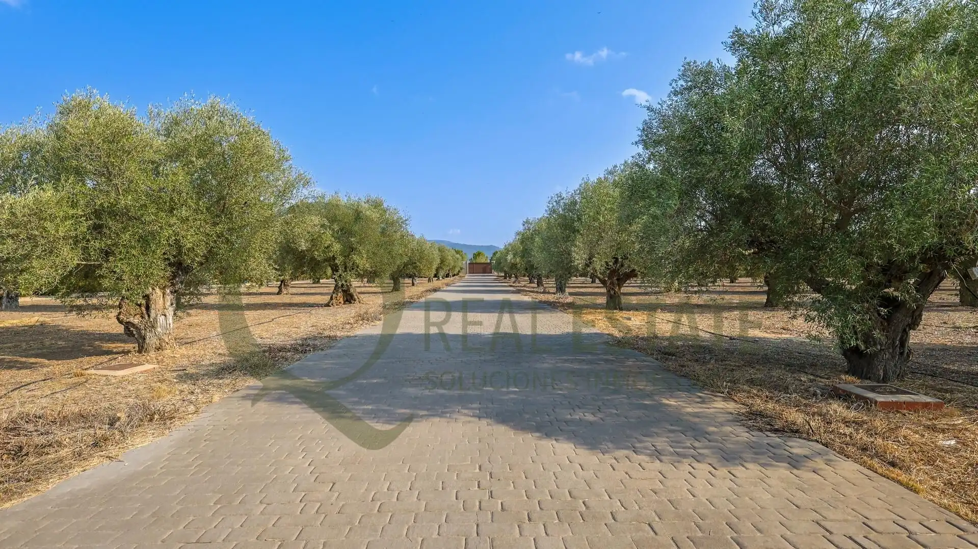 Casa o chalet en venta en Beneixama con Aire acondicionado, Jardín privado y Trastero