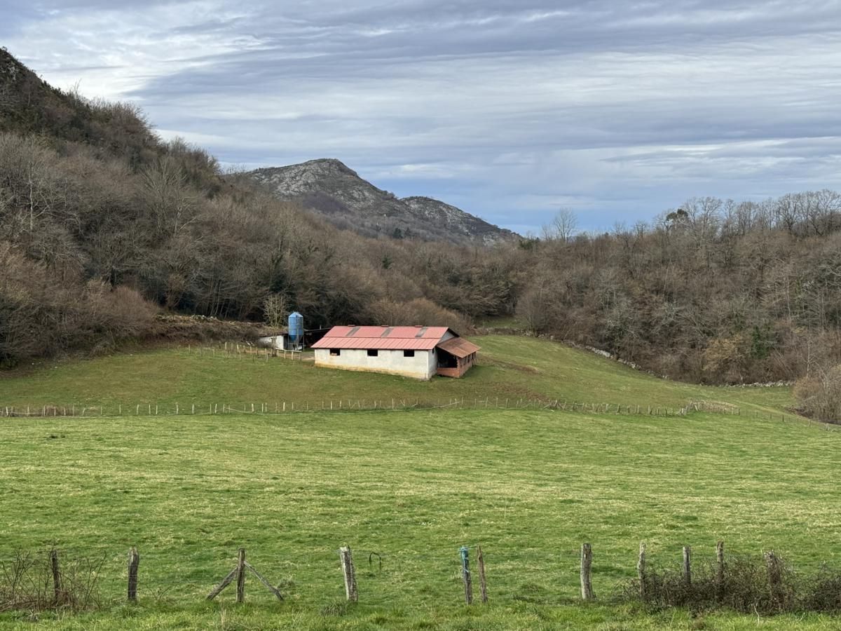 Industrial buildings for sale in Onís