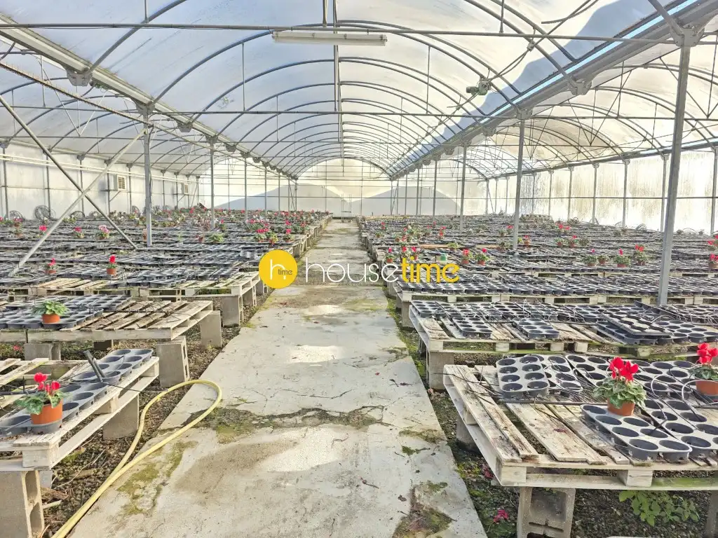 Rural land for sale in Sant Cebrià de Vallalta, imagen 6