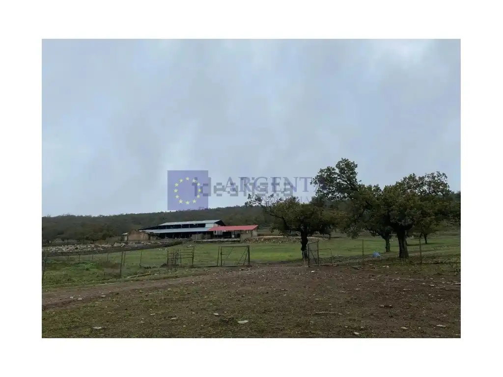 House for sale in Diseminados Carrascal, imagen 15