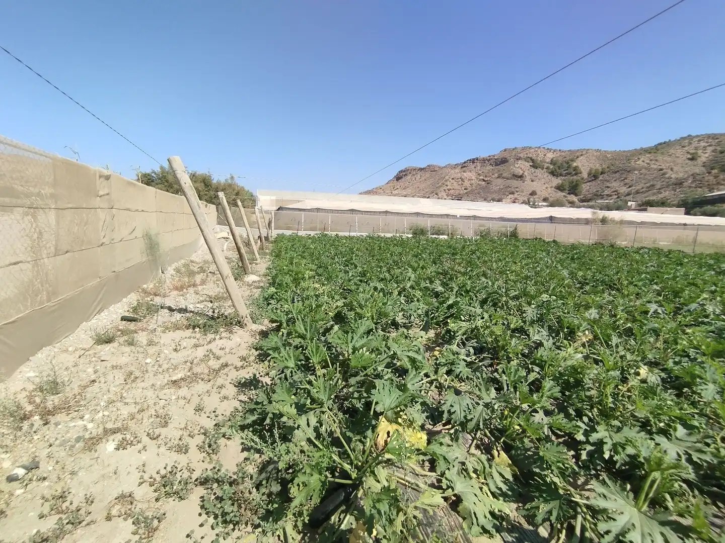 Terreno rustico in vendita a Santa Fe de Mondújar, imagen 29
