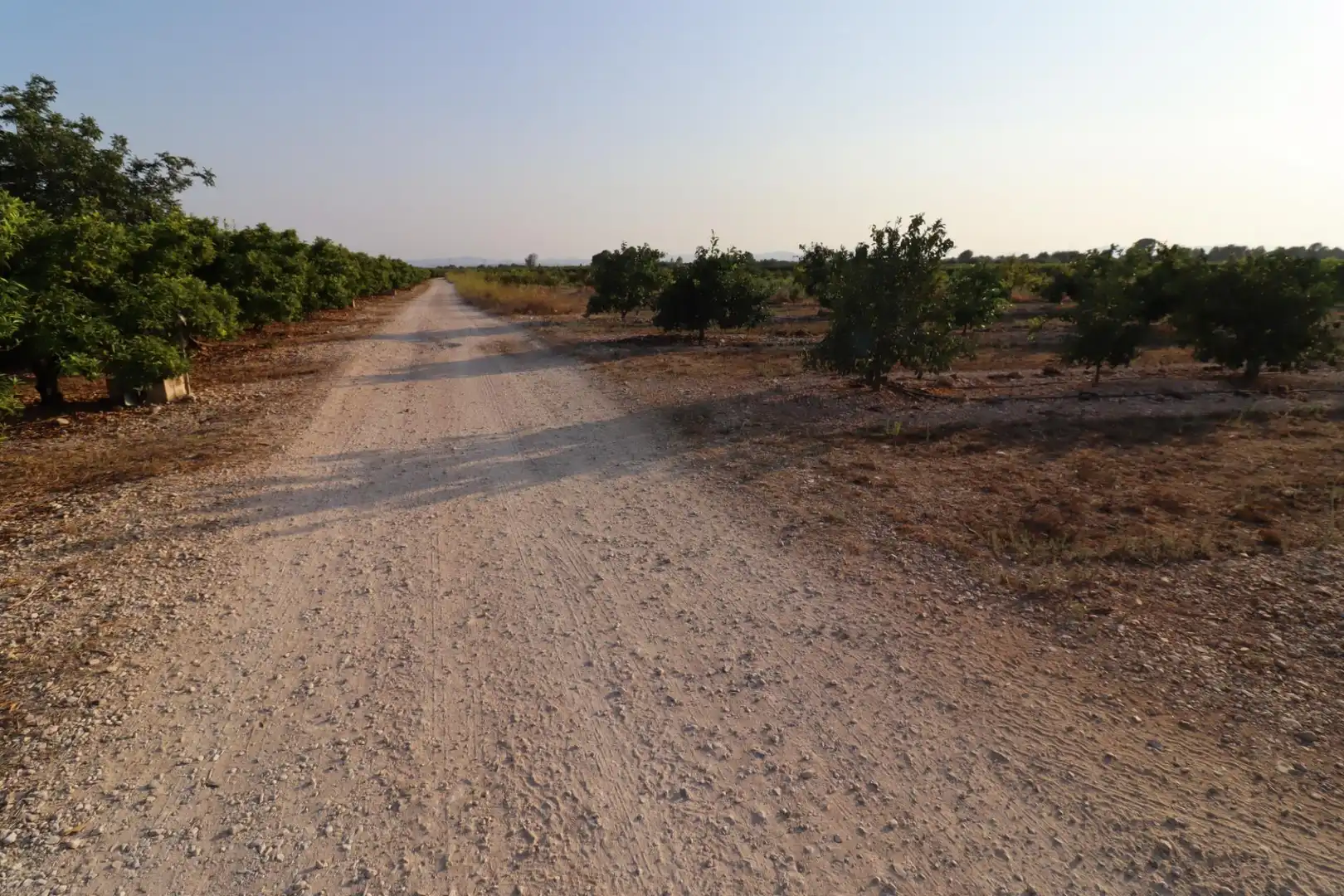 Terreny en venda en Vinaròs