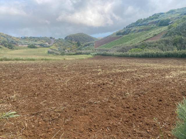 Terreno en Venta en Lugar el Saucillo, 26 en Saucillo - Fagajesto - Juncalillo