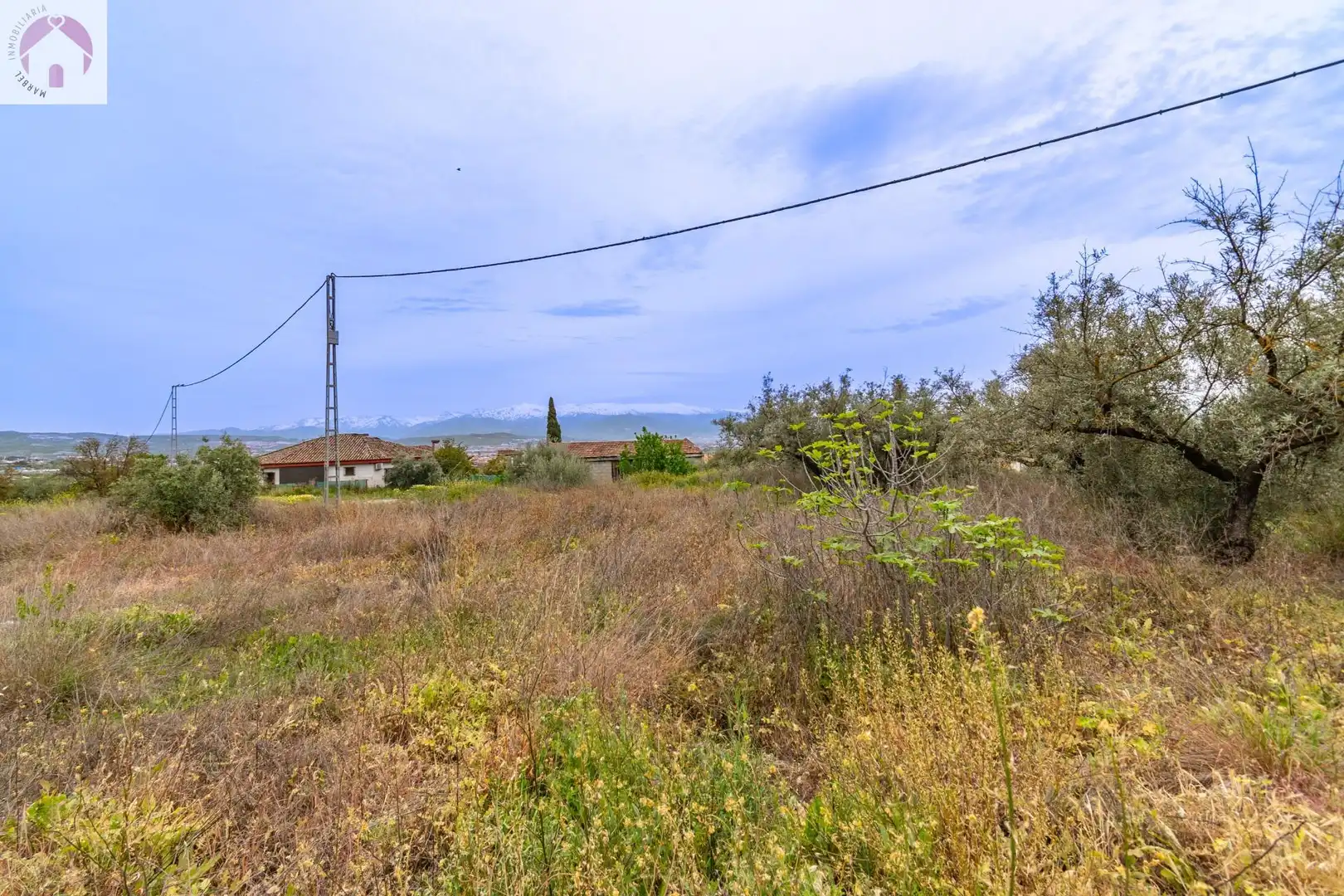 Terreno residencial en venta en El Torreón - Cortijo Pretel, imagen 13
