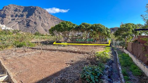 Foto 3 von Grundstücke zum Verkauf in Calle Los Medanos, -1, Valle Gran Rey, Santa Cruz de Tenerife
