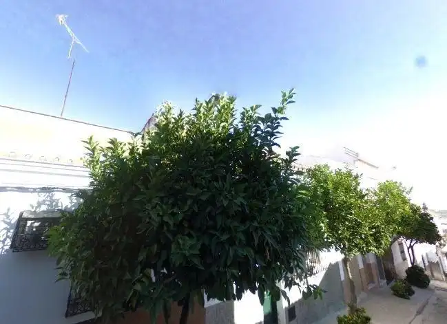 Piso en venta en Las Cabezas de San Juan