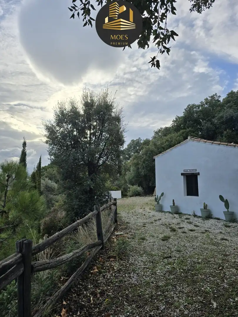 Country house for sale in Jubrique, imagen 18