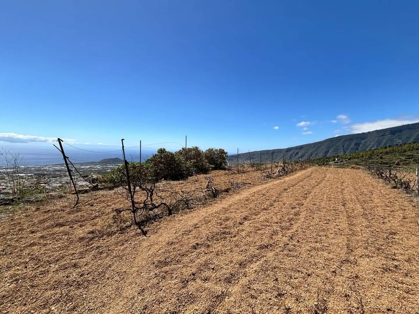 Rustikales Grundstück zum Verkauf in Polígono 1 Parcela 509 LAS CUESTAS. ARAFO (S.C. T 1, imagen 3