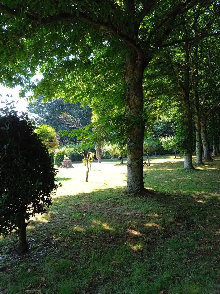 Finca rústica en venta en Loxo, Touro