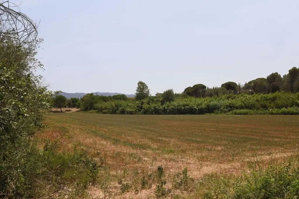 Terreno rústico en venta en Lliçà de Vall, imagen 12