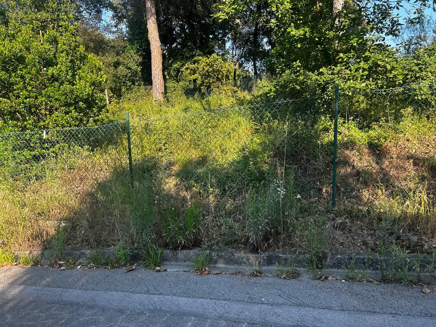 Residential land for sale in Residencial Park, imagen 6