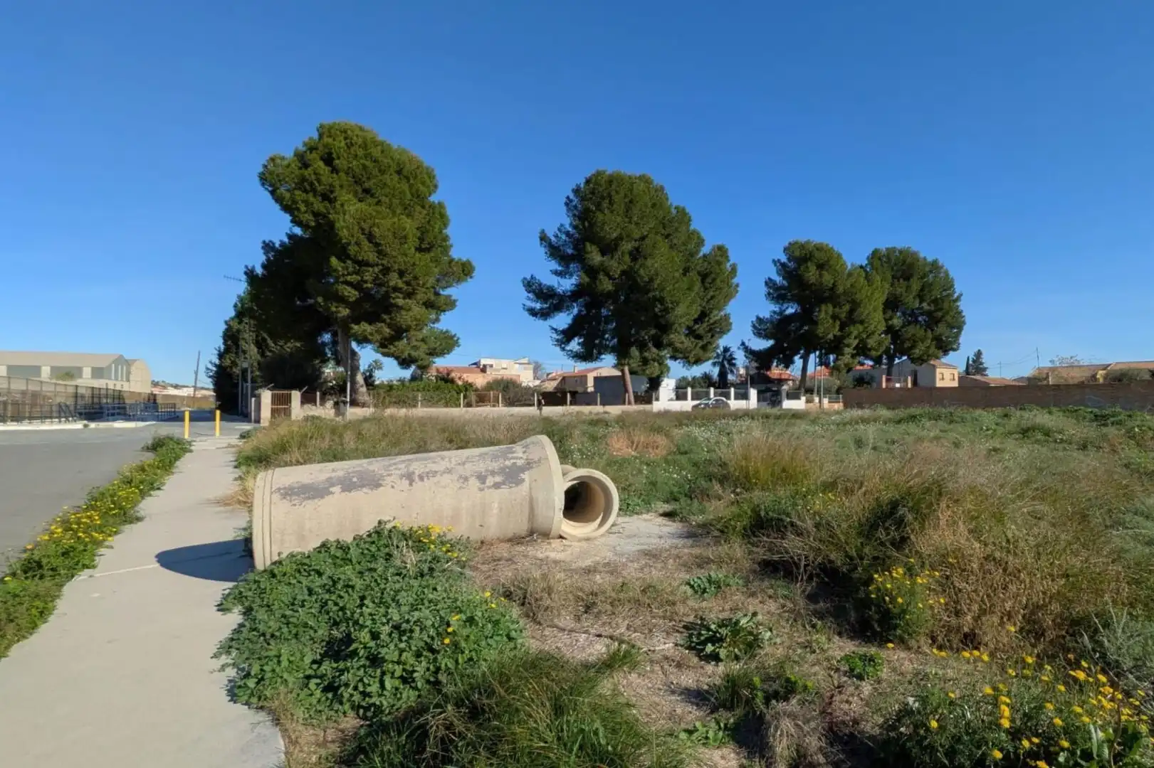 Terreni e lotti in vendita a Calle del Olivo, imagen 6