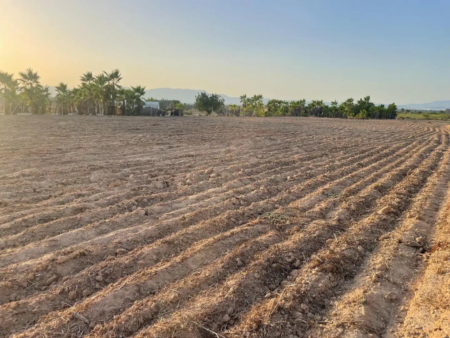 Terrain rustique à vendre à La Foia - Daimés - Asprella, imagen 3