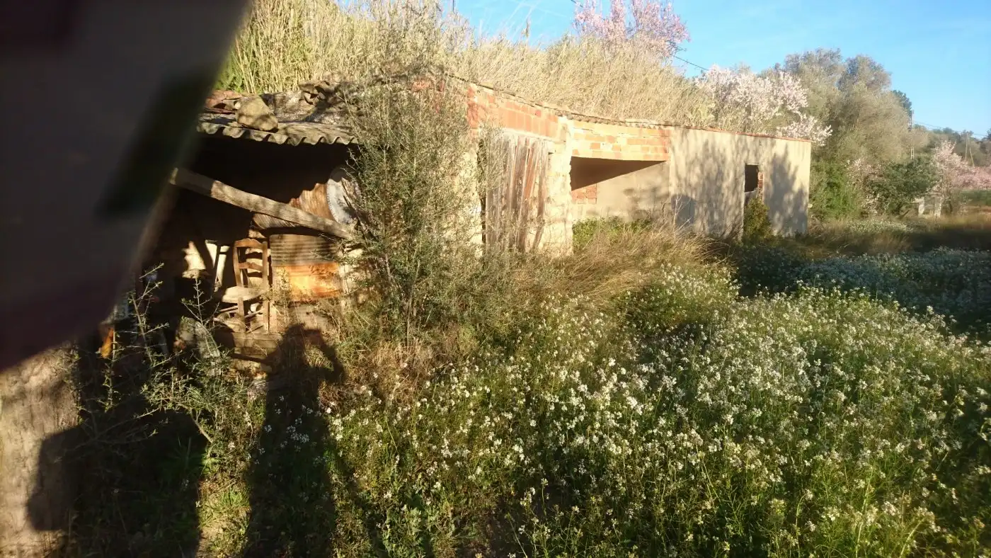 Maison à vendre à Vall d'Alba, imagen 5