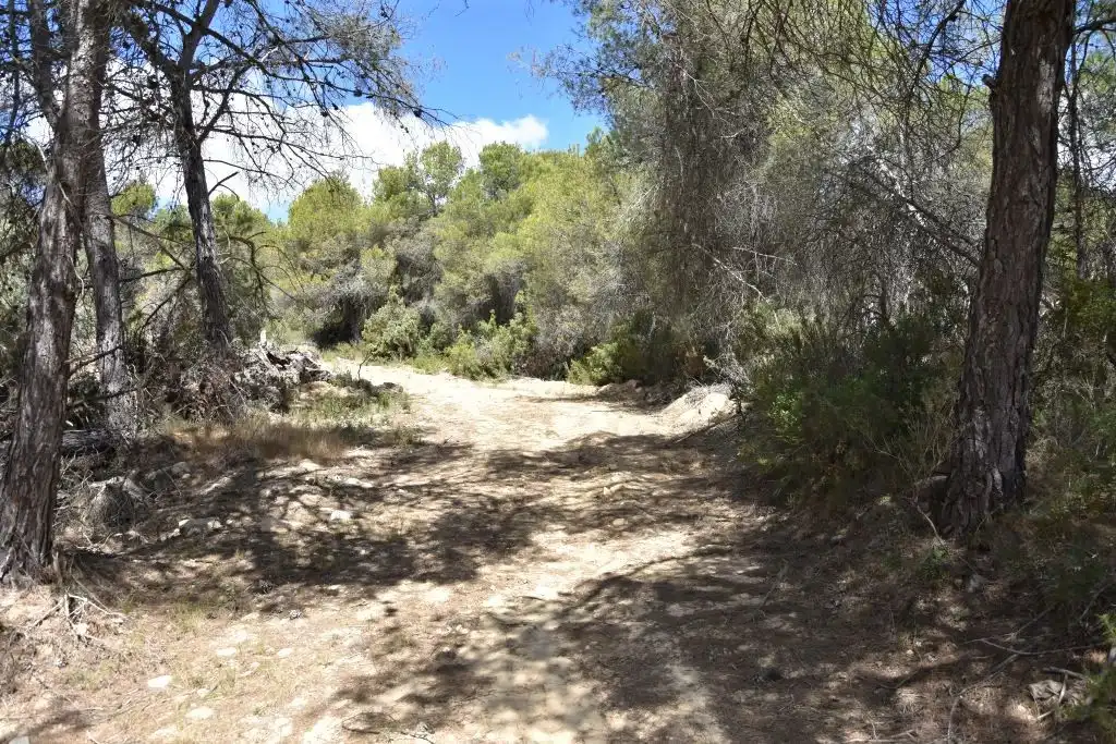 Terreni e lotti in vendita a Arens de Lledó, imagen 9