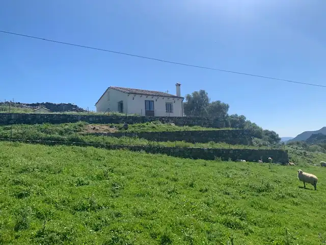 Vista exterior de Terreno en venta en Ubrique