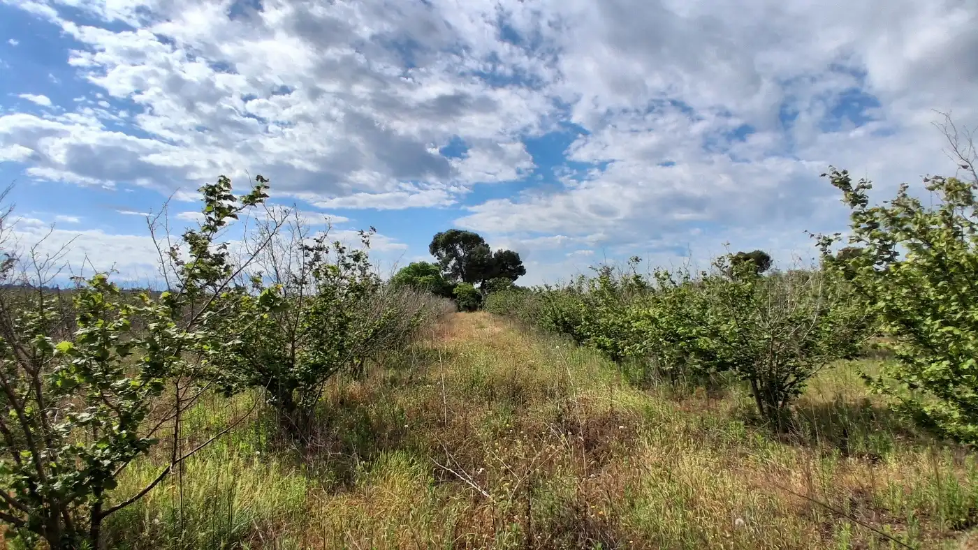 Terreno en venta en El Milà