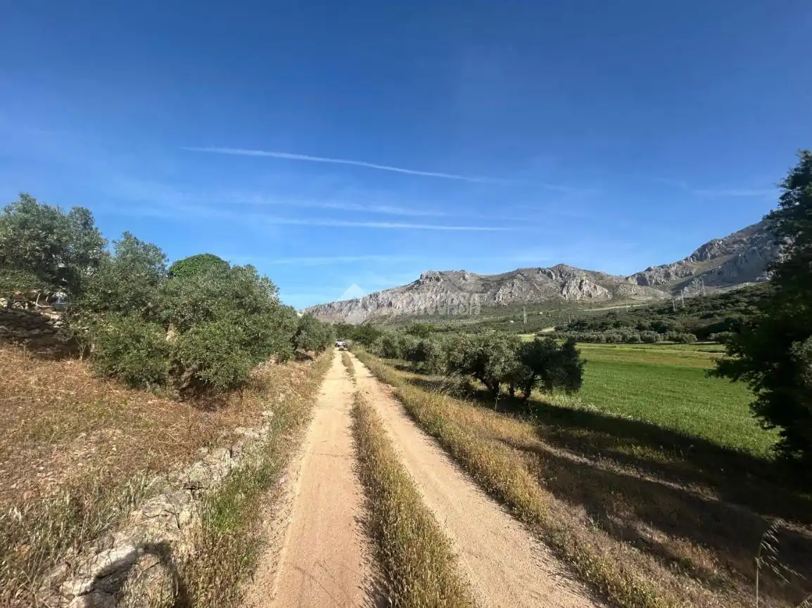 Vista exterior de Finca rústica en venta en Antequera