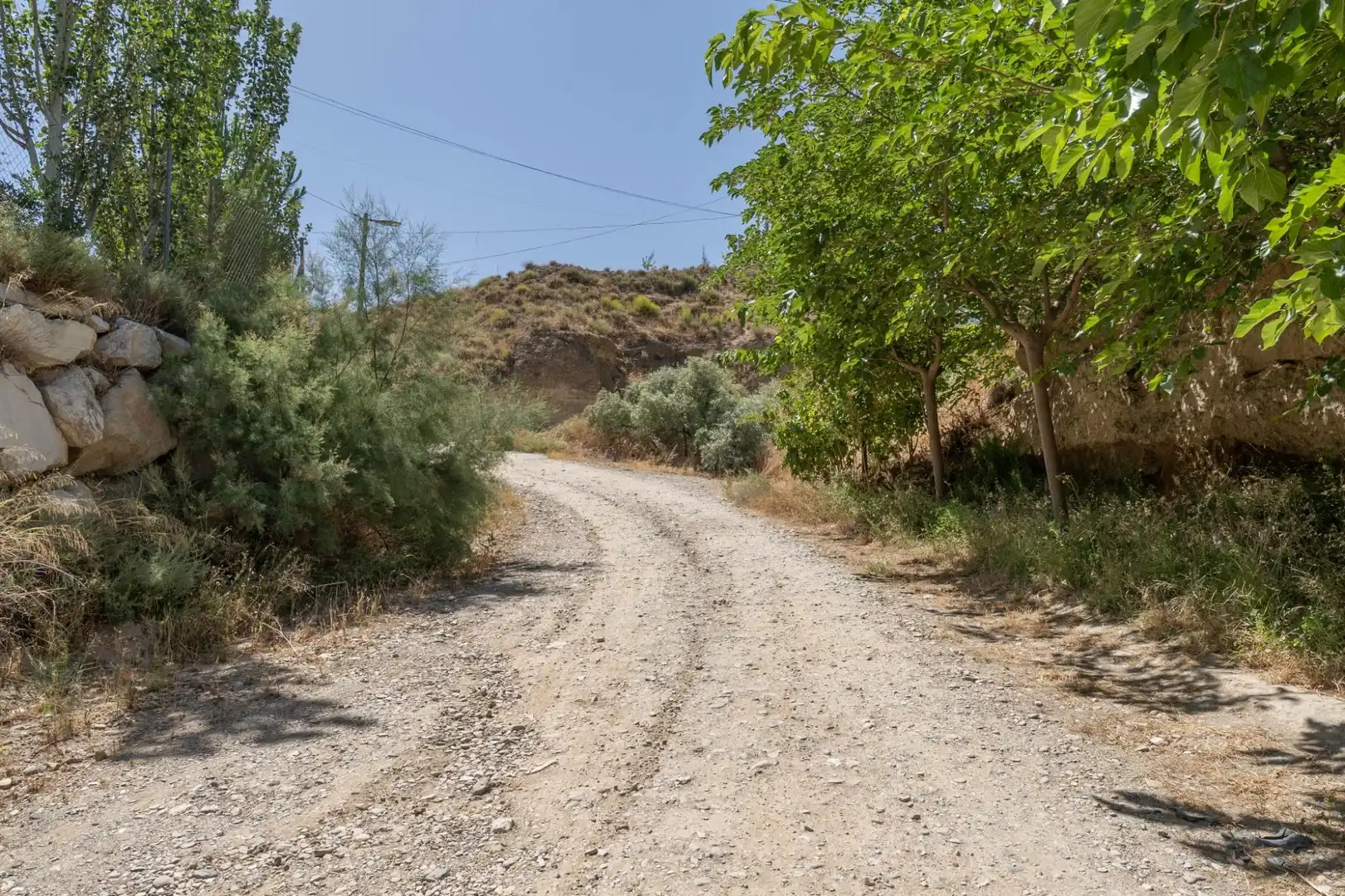 Finca rústica en venta en Caniles