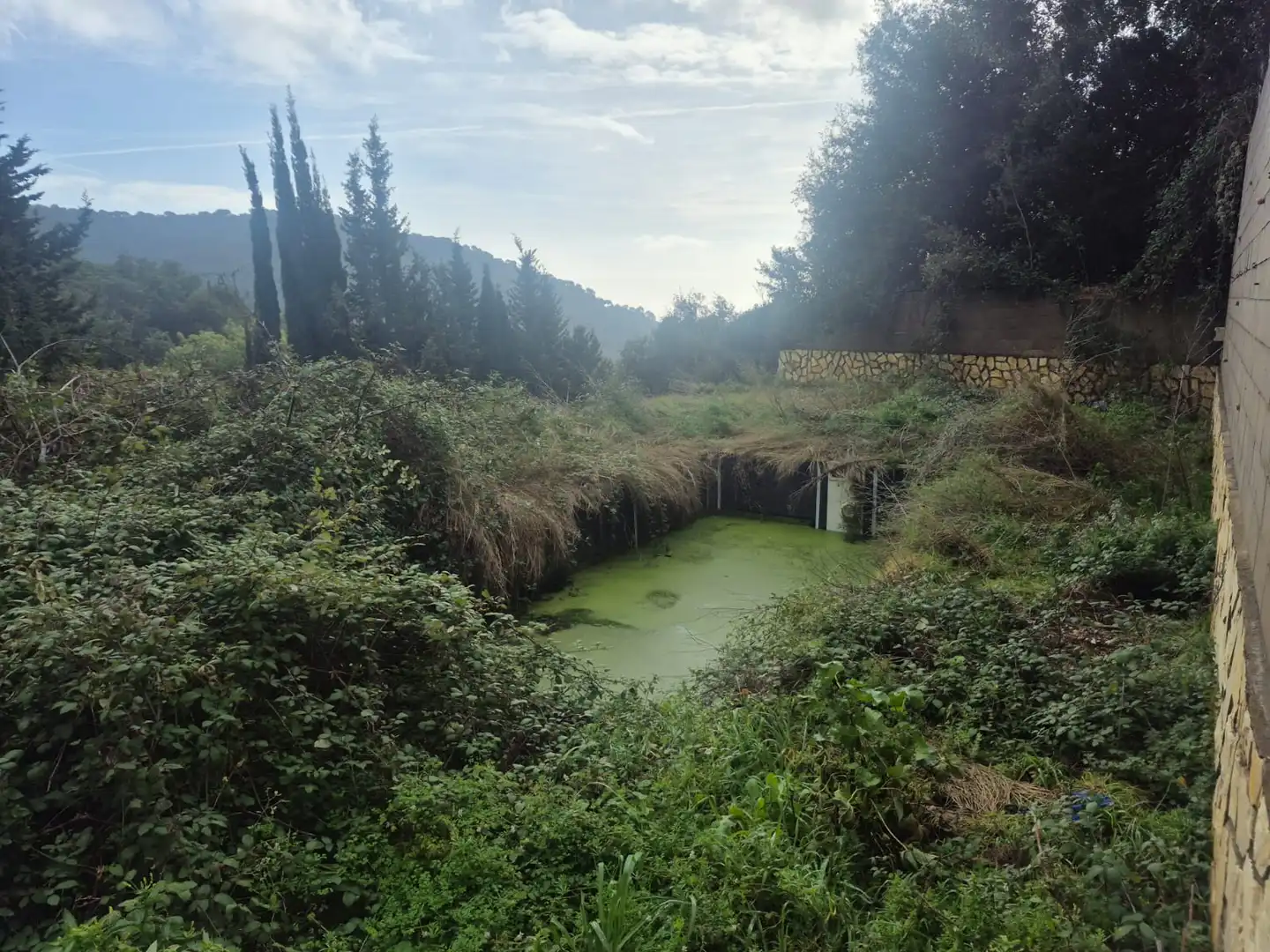 Garten von Haus oder Chalet zum Verkauf in Sant Cebrià de Vallalta mit Privatgarten