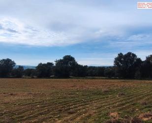 Grundstücke zum verkauf in Talamanca de Jarama