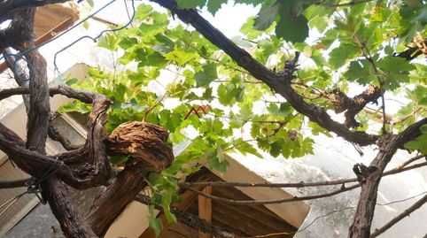 Foto 2 von Haus oder Chalet zum Verkauf in Ubrique, Cádiz