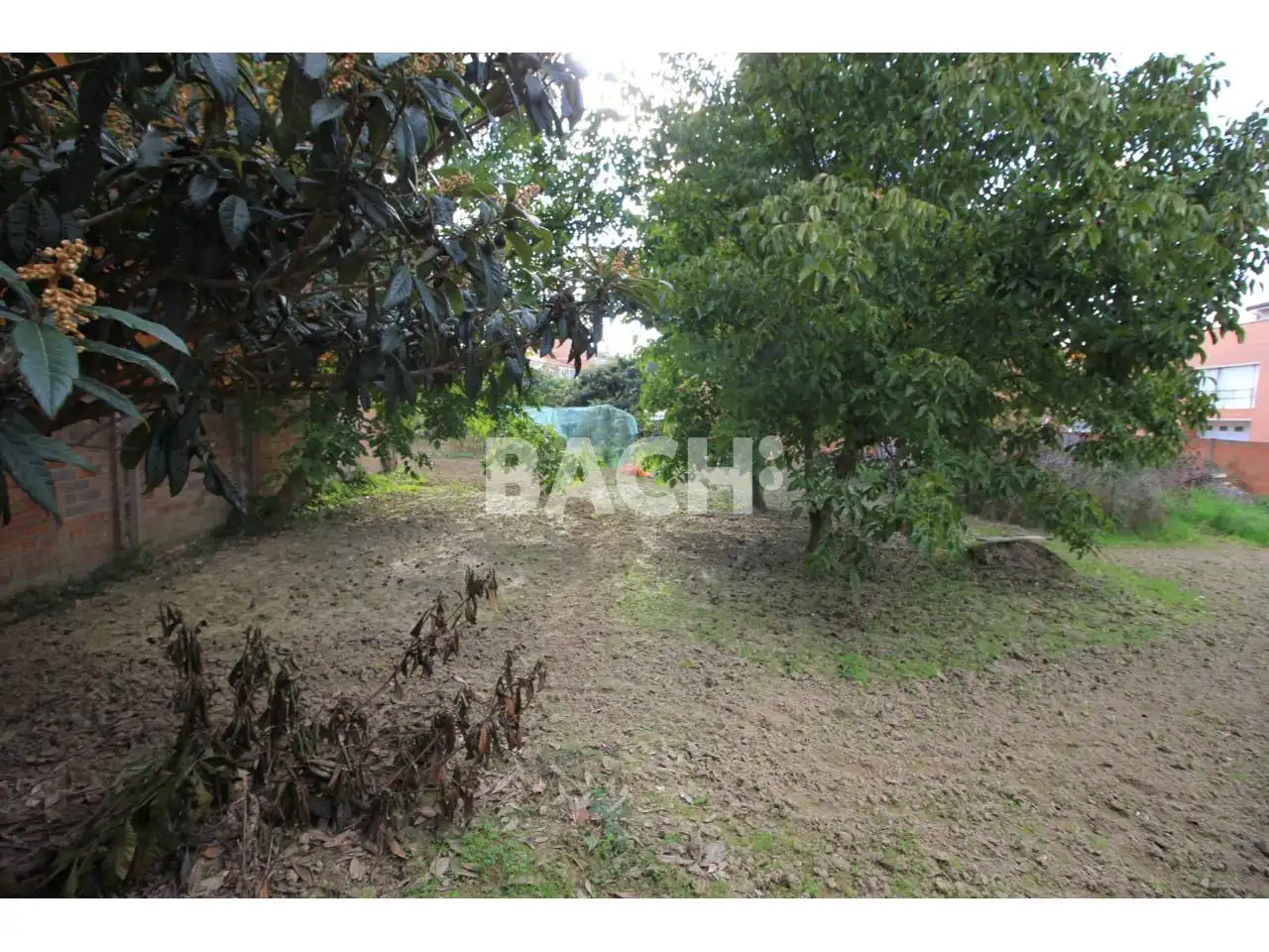 Terreny residencial en venda a Calle Sogorb, imagen 12