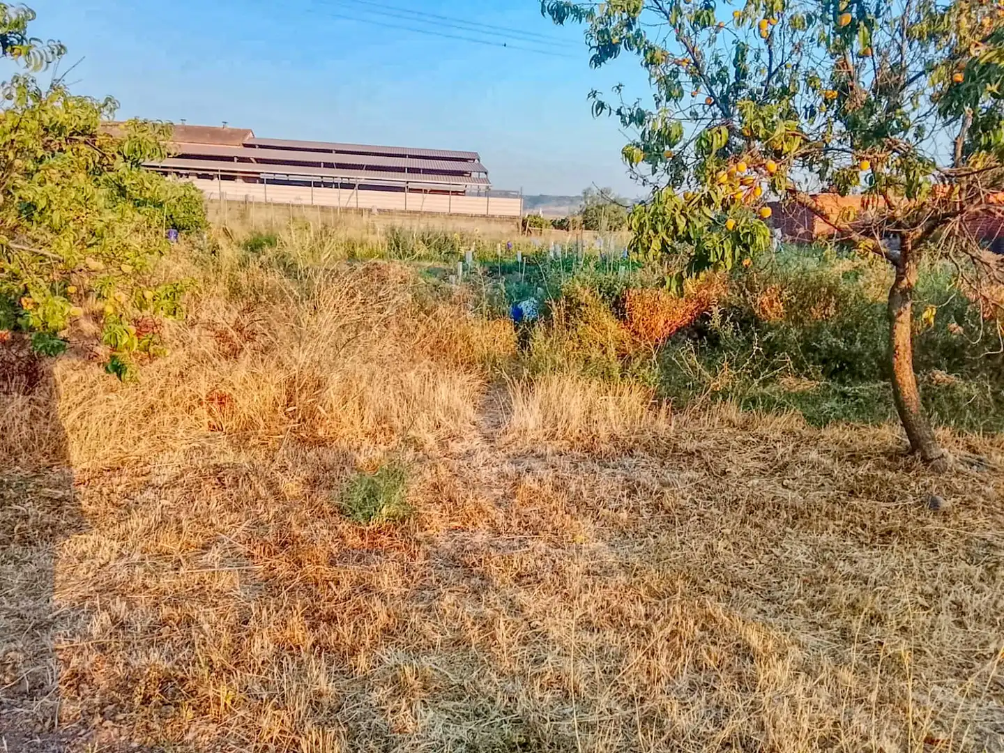 Terreno residenziale in vendita a Ur La Morena 8, imagen 10