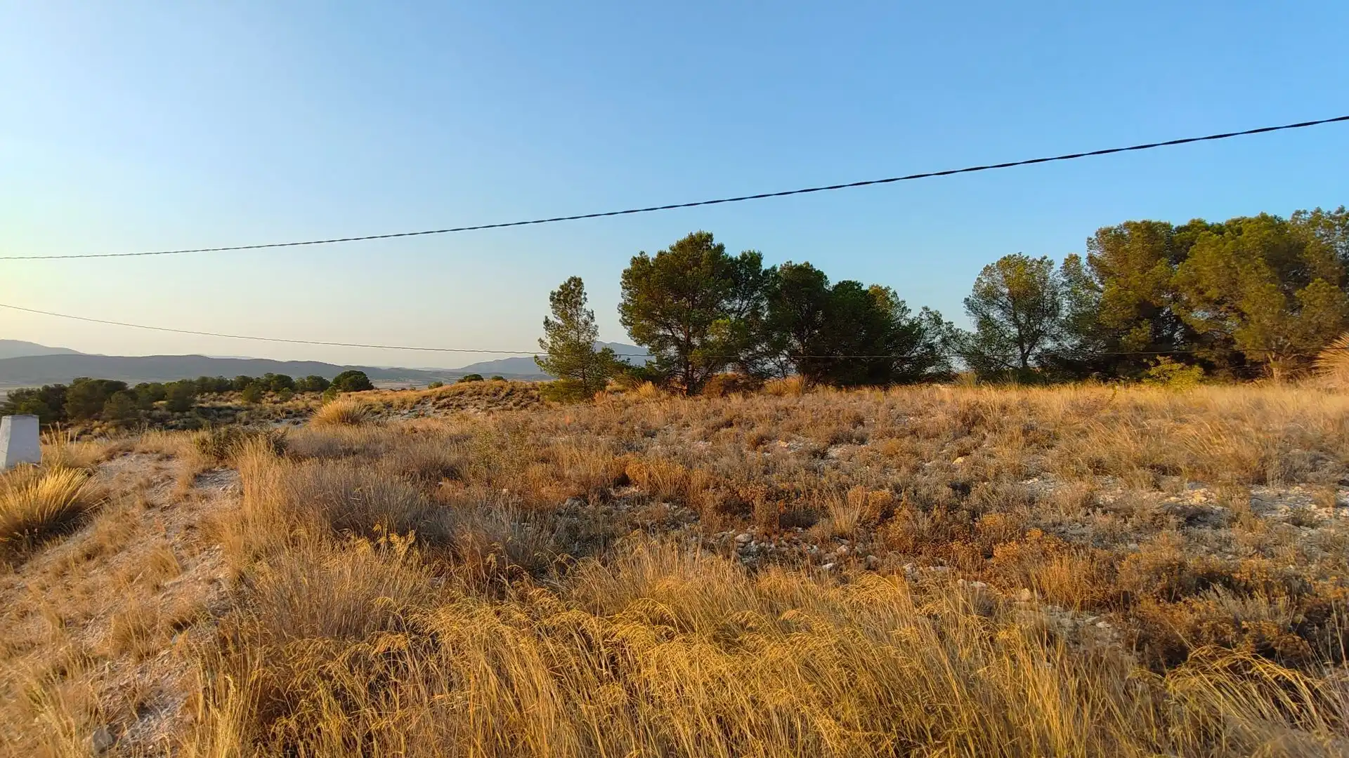 Terreno rustico in vendita a Jumilla, imagen 3