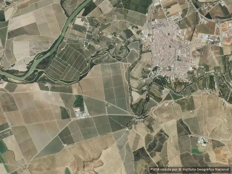 Pis en venda a Palma del Río, imagen 3