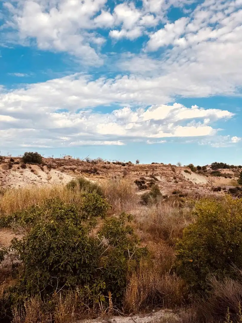 Terrain rustique à vendre à Campo de Murcia, imagen 7