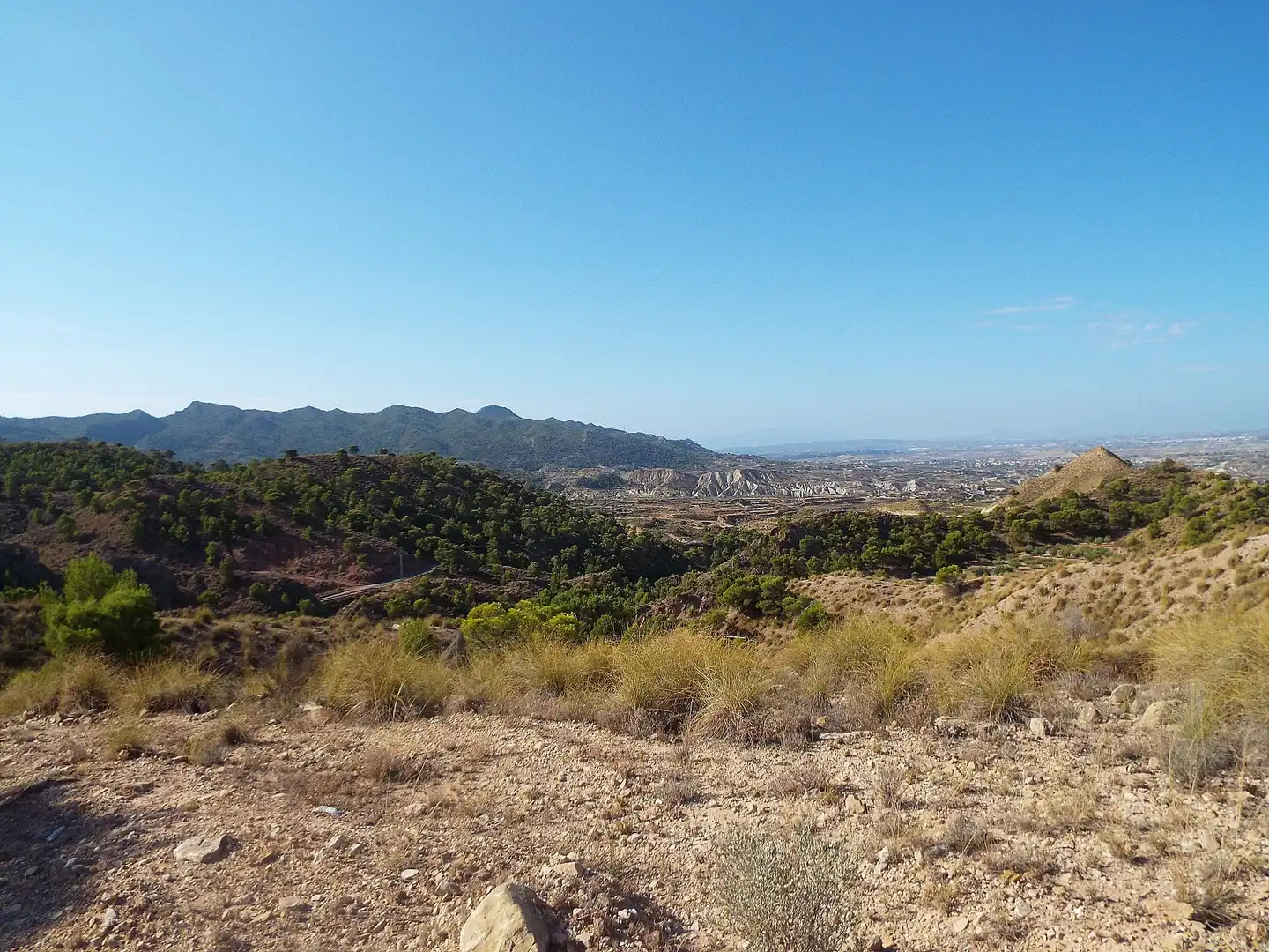 Lands and plots for sale in Abanilla, imagen 13