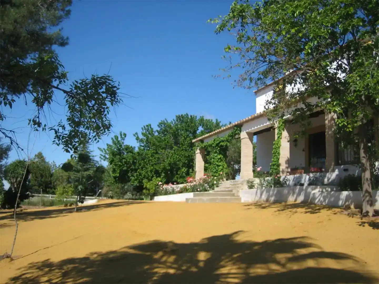 Jardí de Finca rústica en venda en Peñaflor amb Aire condicionat, Jardí privat i Traster