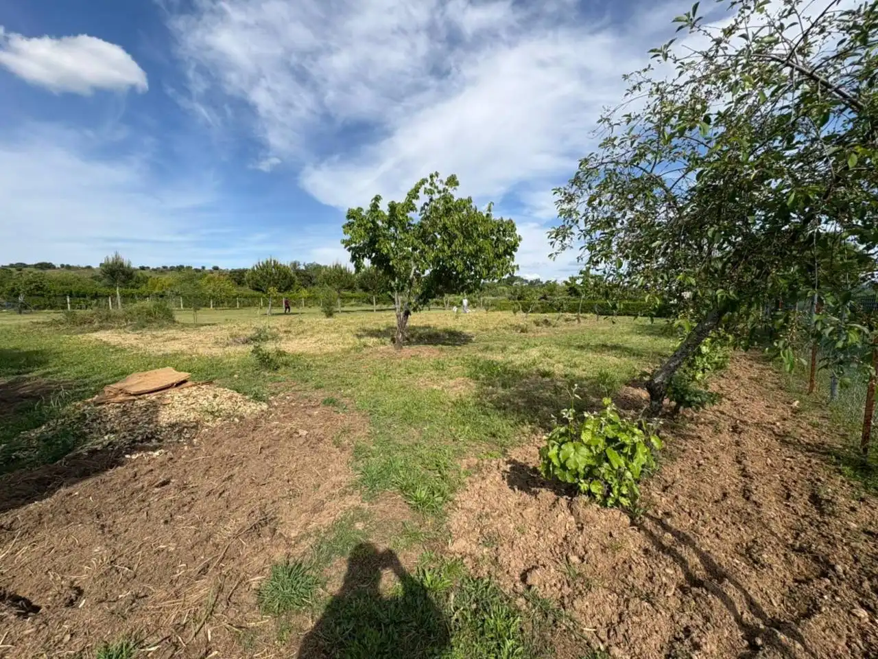 Terreno residenziale in vendita a Poligono 24, imagen 11