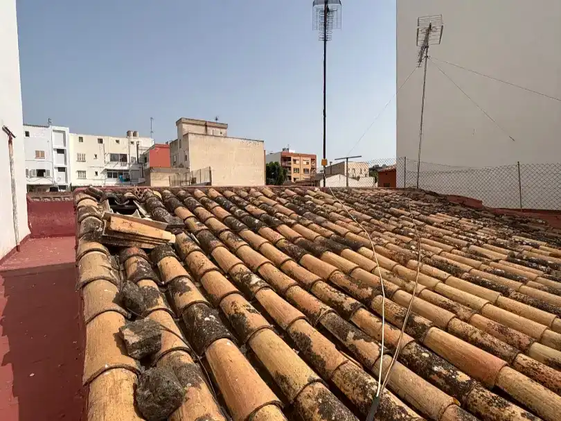 Vista exterior de Pis en venda en  Palma de Mallorca amb Terrassa