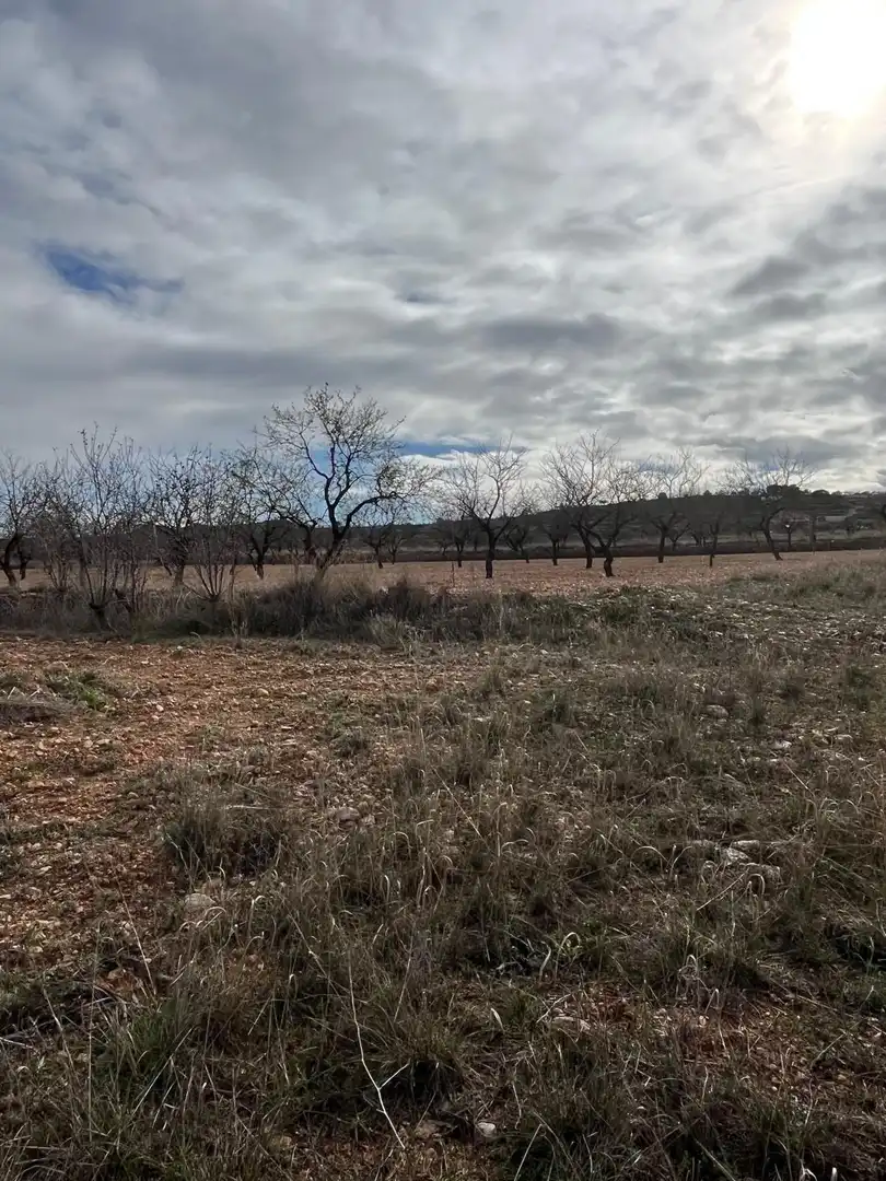 Residencial en venta en Hondón de los Frailes