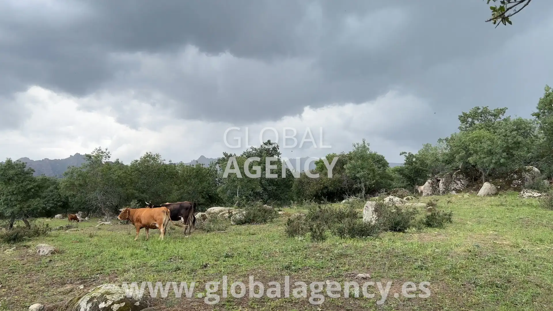 Rural land for sale in Soto del Real, imagen 20