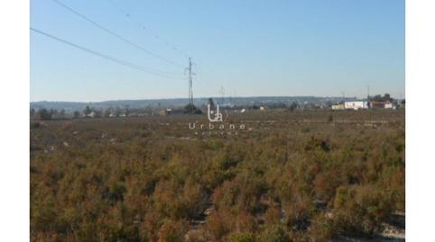 Photo 2 of Land for sale in Carretera de la Marina, La Marina, Elche / Elx