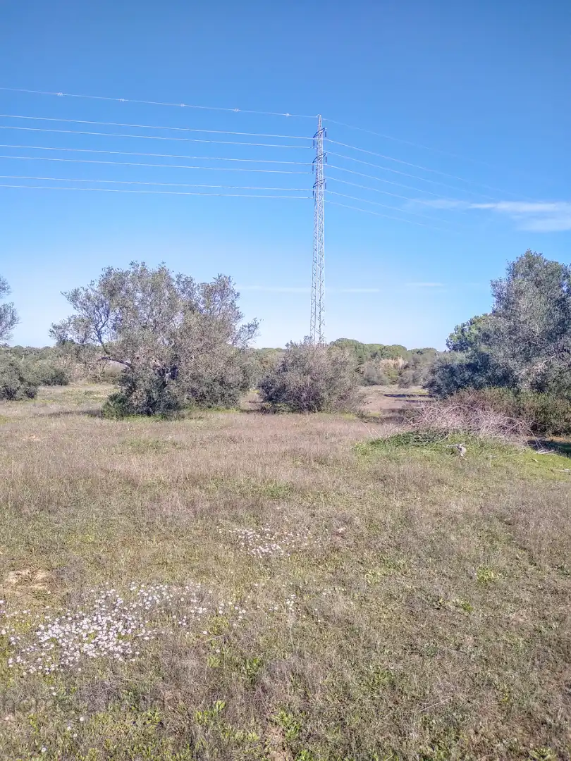 Finca rústica en venda en Villablanca